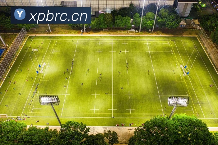 星空网页版登录入口服务体系